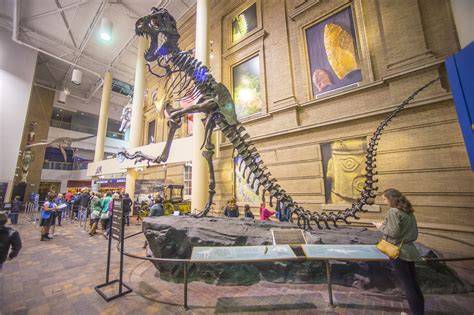 Denver Museum of Nature and Science - raincitystudios.com