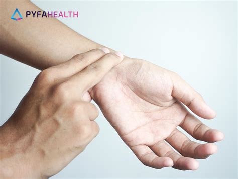 Denyut nadi - Wikipedia bahasa Indonesia, ensiklopedia bebas - wintechmobiles.com