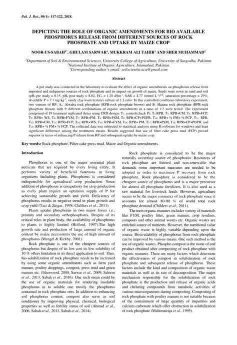 Depicting the role of organic amendments for bio … - raincitystudios.com