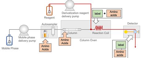 Derivatization of Amino Acids in Human Plasma for Quantitation by ... - wintechmobiles.com