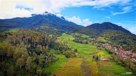 Desa Arsip - baraNews Riau - raincitystudios.com