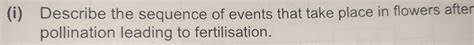 Describe the events that take place between pollination and ... - raincitystudios.com