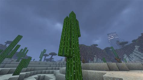 Desert Monsoons 1.21.10 Minecraft Data Pack - raincitystudios.com