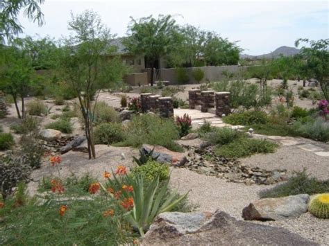 DESERT SHOWCASE LANDSCAPING in Phoenix, AZ Company …