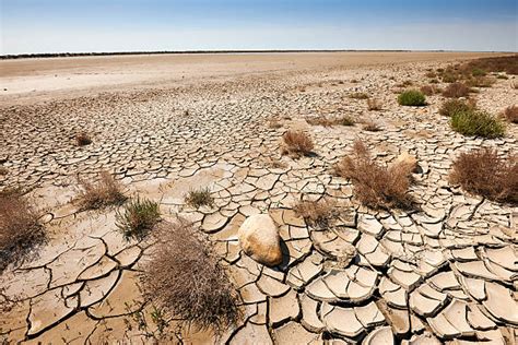 Desertification Studies royalty-free images - Shutterstock - muktibox.com