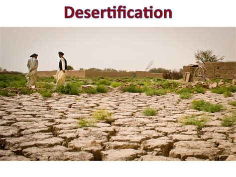 Deserts and Desertification - IntechOpen - muktibox.com