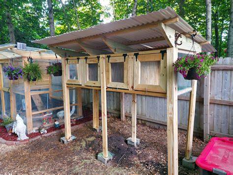 Design a Thriving Quail Coop from Scratch - Feathered … - raincitystudios.com