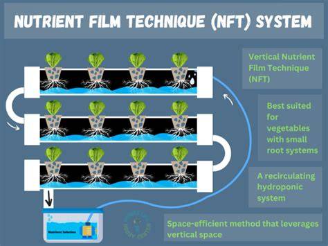 Design and Fabrication of Nutrient Film Technique (NFT ... - Springer - raincitystudios.com