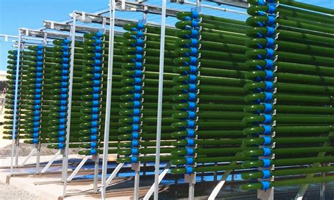 Design of Closed Photobioreactors for Algal Cultivation - muktibox.com