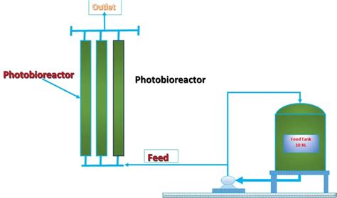 Design of Photobioreactors for Mass Cultivation of Photosynthetic ... - muktibox.com