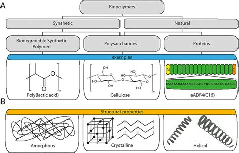 DESIGN ON BIOPOLYMER SYNTHESIS, ITS RECOVERY AND …