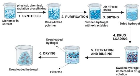 Design strategies for hydrogels with paracrine effects and their ... - muktibox.com