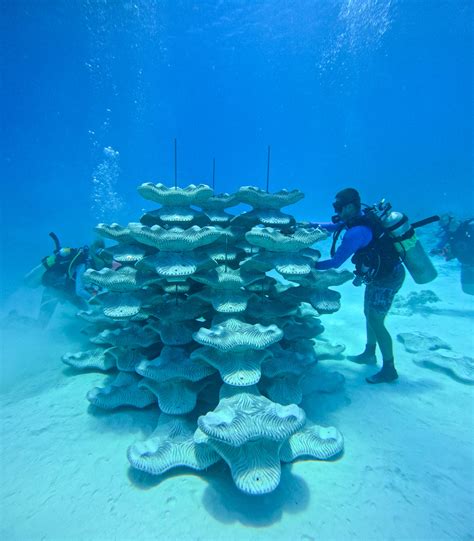 Designing modular, artificial reefs for both coastal defense and coral ... - muktibox.com