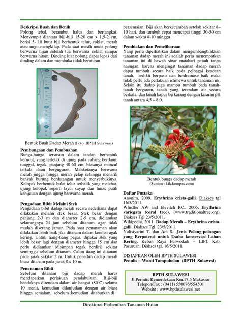 Deskripsi dan Pemeliharaan Dadap Merah | PDF - raincitystudios.com