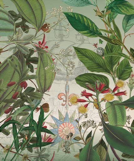 Destination Moluccas — Google Arts & Culture - wintechmobiles.com