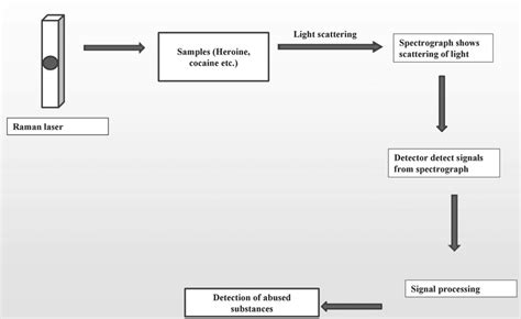 Detection of drugs of abuse by Raman spectroscopy - PubMed - wintechmobiles.com