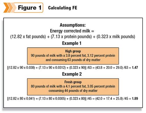 DETERMINING FEED INTAKE AND FEED EFFICIENCY