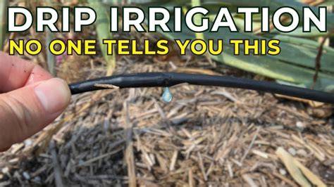 Determining How Long to Run Drip Irrigation Systems … - raincitystudios.com