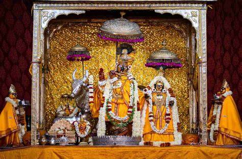 Dev Arts in Amer Road, Jaipur | 1 people Reviewed - AskLaila - raincitystudios.com