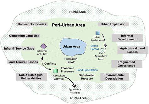 Developing an integrative management plan for urban and peri-urban ... - raincitystudios.com