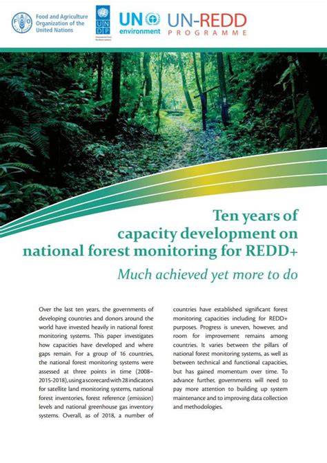 DEVELOPING CAPACITY FOR NATIONAL FOREST MONITORING … - raincitystudios.com