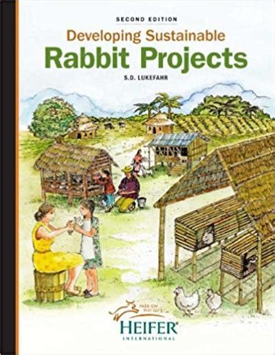 Developing Sustainable Rabbit Projects - raincitystudios.com