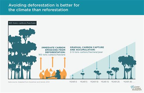 Development, Deforestation and Climate Change - IPB - raincitystudios.com