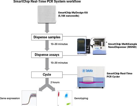 Development Of High Throughput And Real Time Methods For The Detection ... - muktibox.com