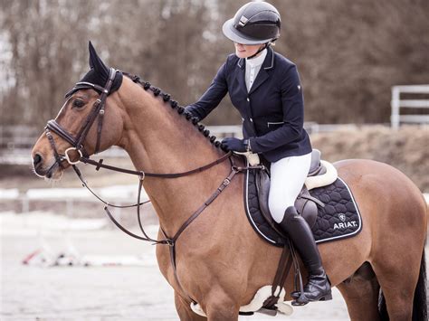 Development of horse riding boots over time | Horse - wintechmobiles.com