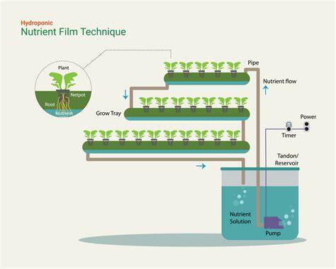 Development of hydroponic system using nutrient film technique (NFT ... - raincitystudios.com