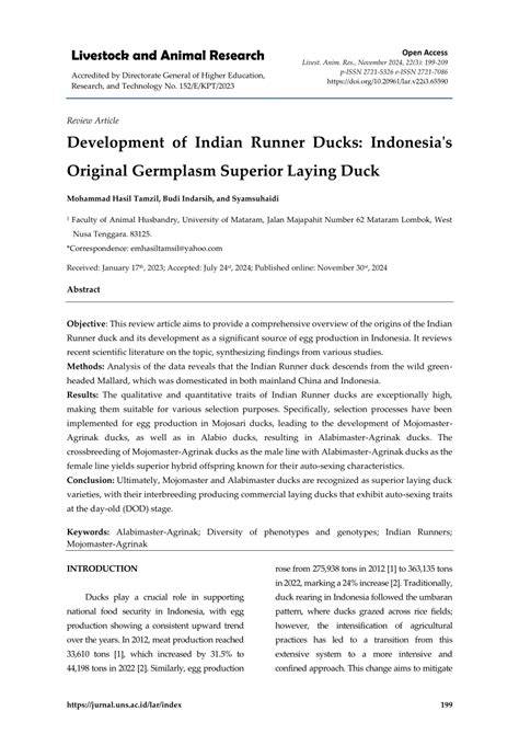 Development of Indian Runner Ducks: Indonesia's - raincitystudios.com