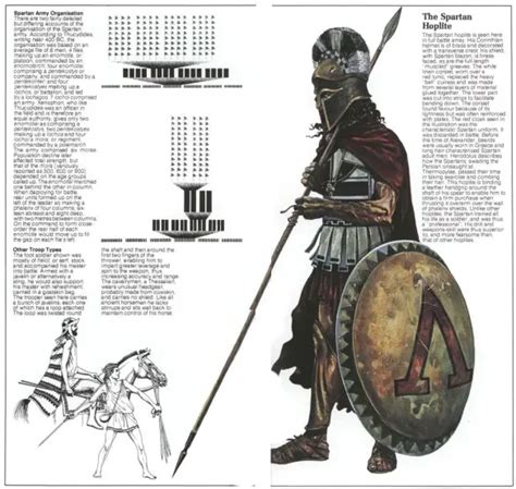 Development of the Hoplite Structure - War History - wintechmobiles.com
