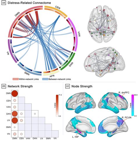 Development of the whole-brain functional connectome … - wintechmobiles.com