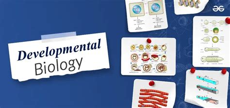 Developmental biology - Latest research and news - muktibox.com