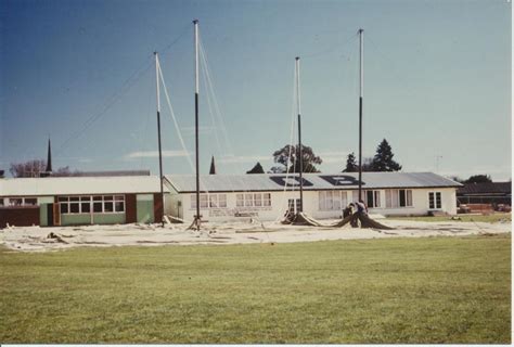 DEVOY HEDGES HOG - Te Awamutu