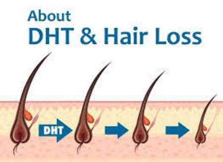 DHT and Hair Growth: All You Need to Know &ndash...