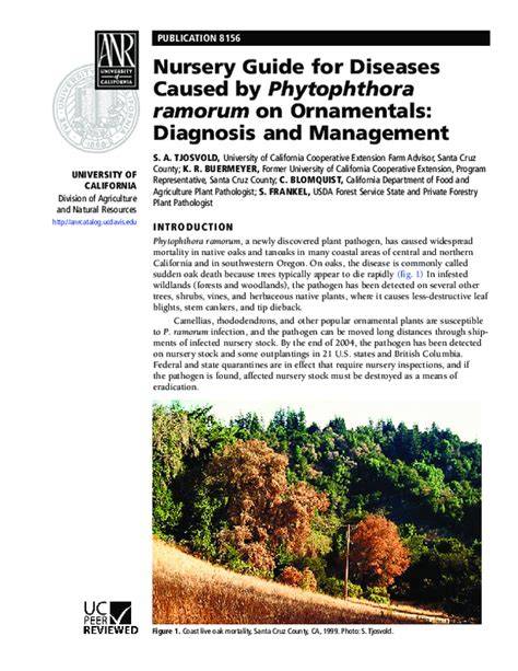 Diagnosis and Management of Phytophthora Diseases - raincitystudios.com