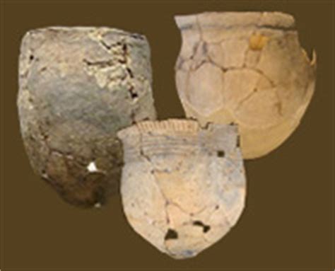 Diagnostic Artifacts in Maryland - muktibox.com