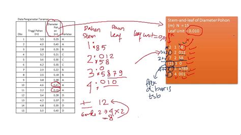 Diagram Dahan Daun (Stem and leaf) - wintechmobiles.com