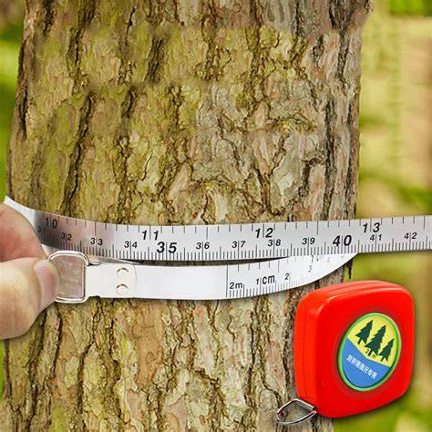 Diameter Tapes and Tree Calipers - gpsforestry - raincitystudios.com