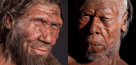 Did Homo Sapiens Mate With Neanderthals - wintechmobiles.com