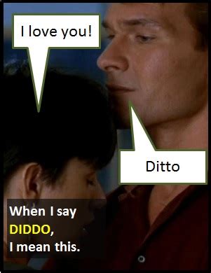 DIDDO What Does DIDDO Mean? - Cyber Definitions