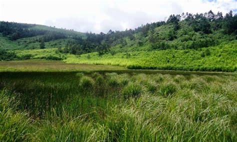 Dieng Savanna in Semurup Valley, Dieng Plateau - raincitystudios.com