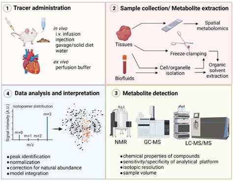 Diet in high mediaeval Florence through stable isotope analysis of ... - wintechmobiles.com