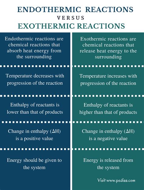 Difference Between Endothermic And Exothermic Reactions - wintechmobiles.com