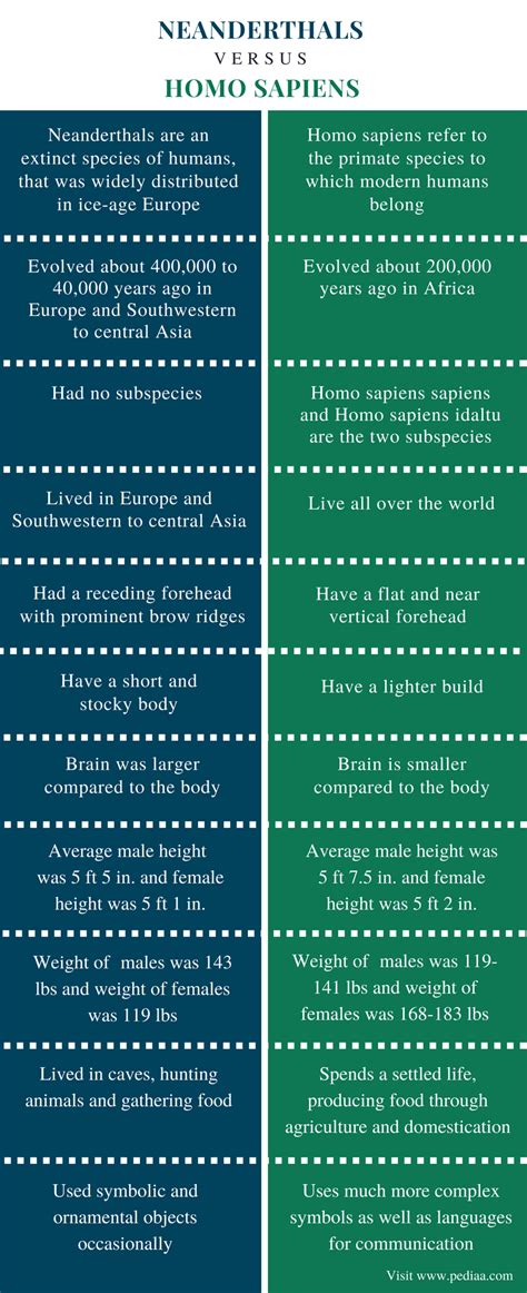 Difference Between Neanderthals and Homo Sapiens - ResearchGate - wintechmobiles.com