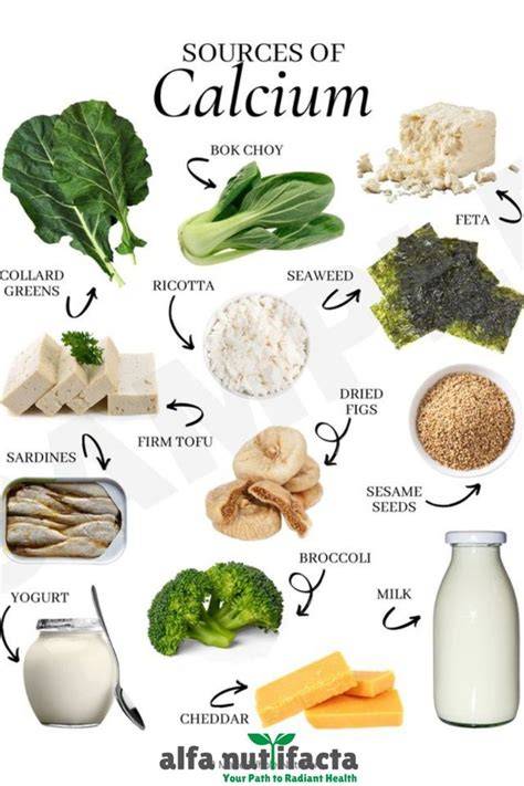Different Sources of Alternative Calcium Supplement on Laying ... - raincitystudios.com