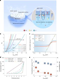 Diffusion-driven selective crystallization of high-purity salt through ... - wintechmobiles.com