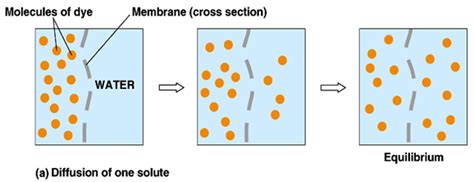 Difusi Adalah - wintechmobiles.com