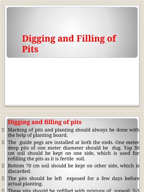Digging and filling of pits - DAV University - raincitystudios.com
